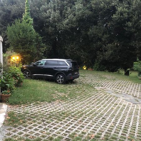 Villa La Dogana B&B Di Charme - Historic Villa With A Beautiful Garden - Private Parking Lucca Exterior foto
