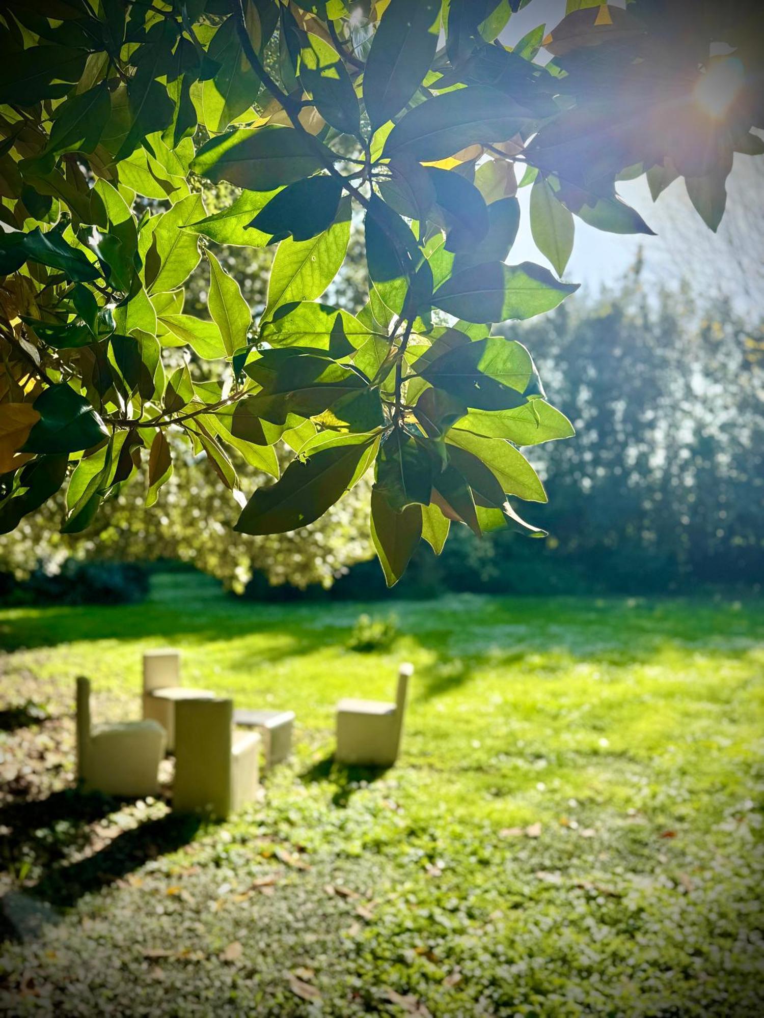 Villa La Dogana B&B Di Charme - Historic Villa With A Beautiful Garden - Private Parking Lucca Exterior foto