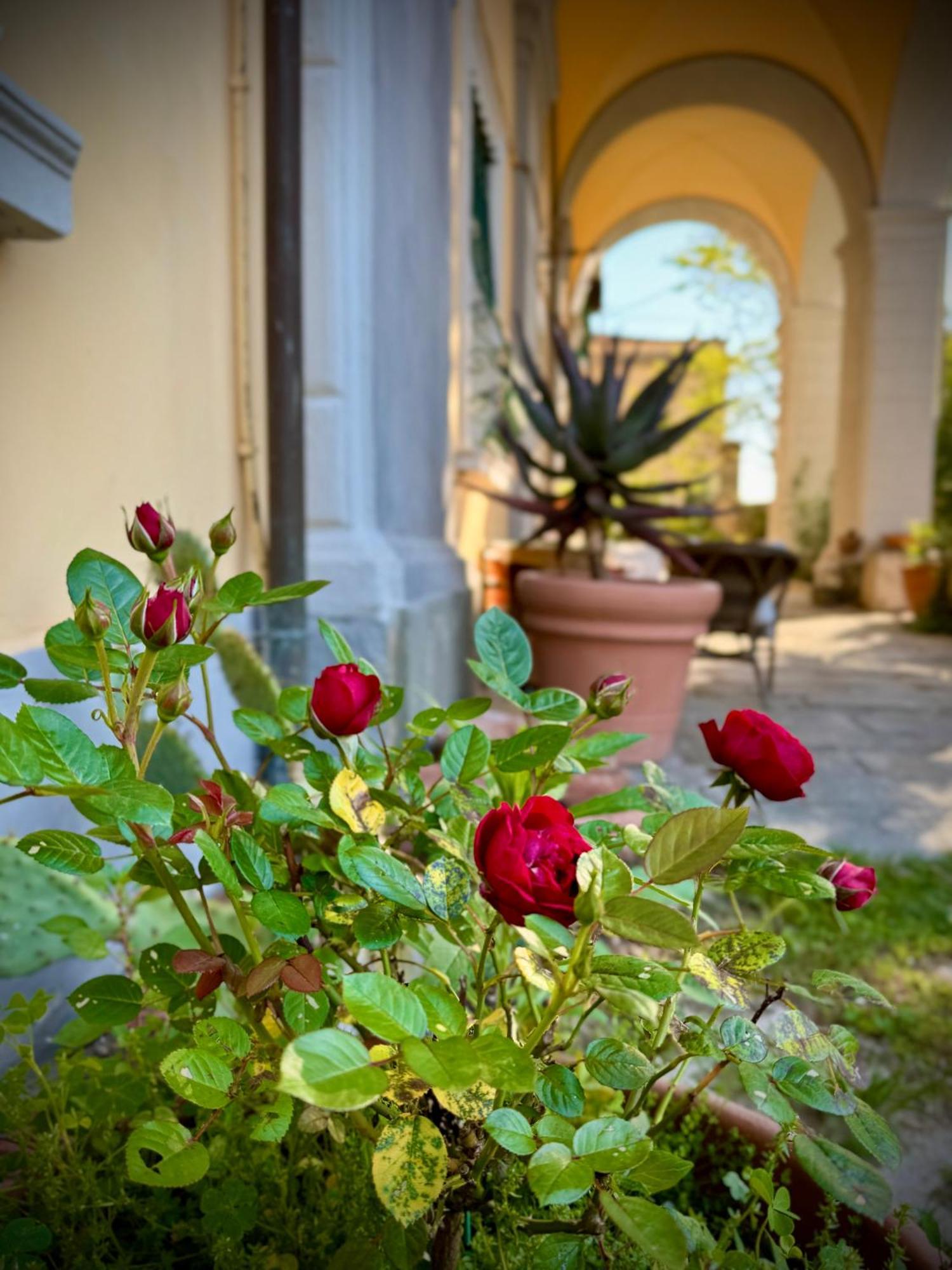Villa La Dogana B&B Di Charme - Historic Villa With A Beautiful Garden - Private Parking Lucca Exterior foto