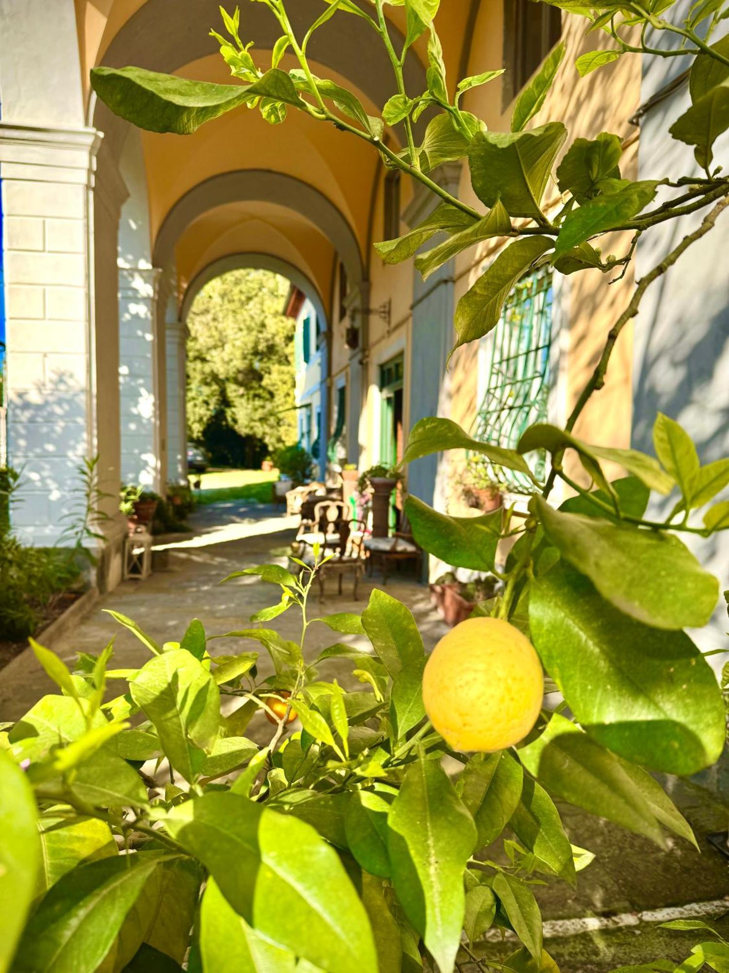 Villa La Dogana B&B Di Charme - Historic Villa With A Beautiful Garden - Private Parking Lucca Exterior foto